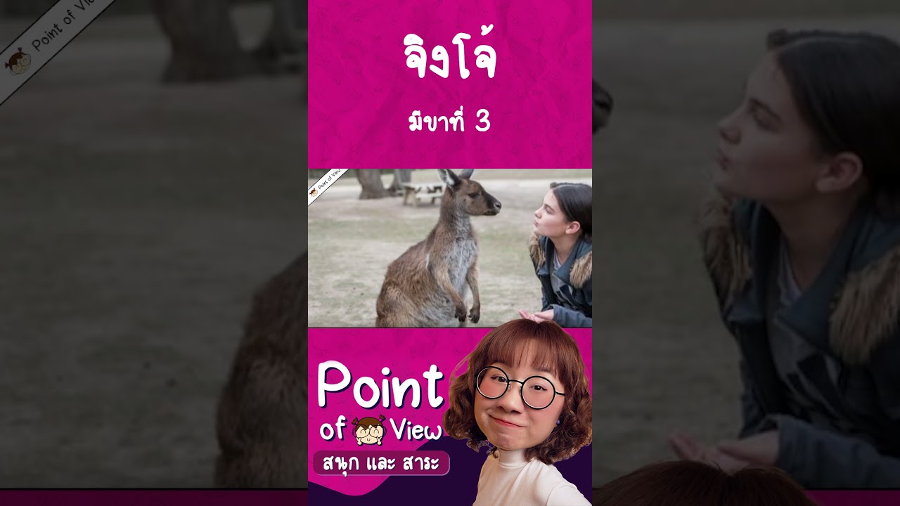 จิงโจ้ตัวใหญ่แค่ไหน?   #pointofview #วิวเอ๋ยบอกข้าเถิด #สาระสัตว์สัตว์