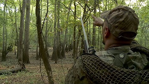 Squirrel Hunt and World Champion Squirrel Cook-off