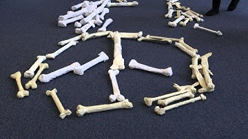 One Million Bones: Marymount University Joins the Movement