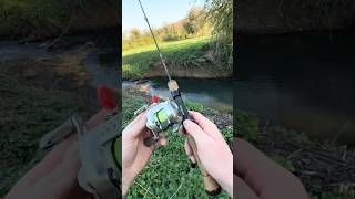 BFS reel upgrade, swapped from mono to braid #bfs #ulfishing #fishingvideo #baitcaster