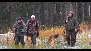 Охота с Зарёв Синицын И., Можор Товпинец В., Певка Бруннер А., Сигнал(Плакуня) и Свирель Шатров В.