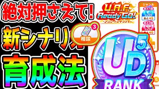 【ウマ娘】絶対押さえてほしい！新シナリオ育成法・立ち回り・知識！相談・色『15選』UAFシナリオは最初つかみにくい！言語化もムズイ【ウマ娘プリティーダービー 3周年 ぱかライブTV UAF 都留岐さん