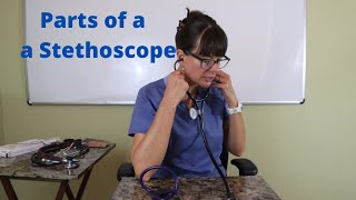 Parts of a Stethoscope and how to properly use it