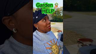 Need a lil brassica help #trending #viral #garden #love #fyp
