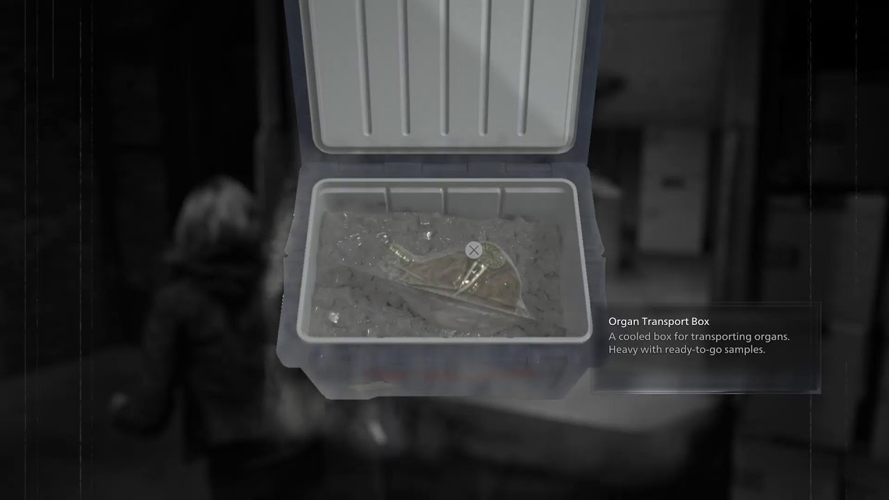 Resident Evil 9 Infinite Ammo