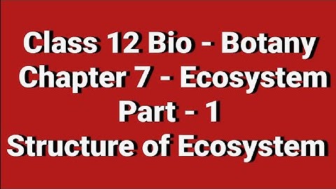 Class 12 / Bio - Botany/Chapter 7 - Ecosystem