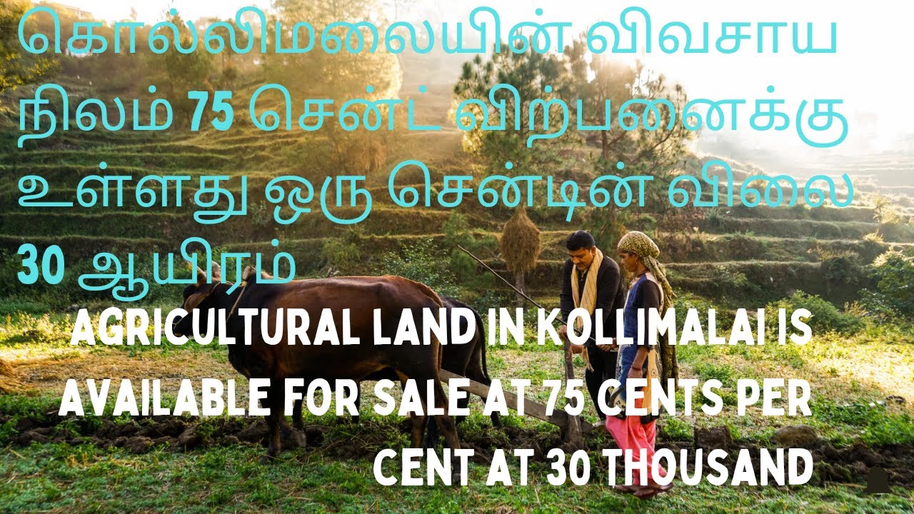 Agricultural land in Kollimalai is available for sale at 75 cents per
