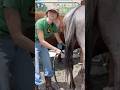 Washing my leaky butt horse 🐴🚿