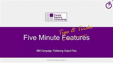 Output File Tips and Tricks - IBM Unica Campaign Tutorial