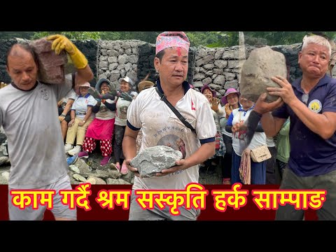 क म गर द श रम सस क त हर क स म प ङharka Sampang 