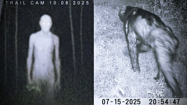 Most Disturbing Cryptid Creatures Caught on Trail Cam 2025 *NEW* 