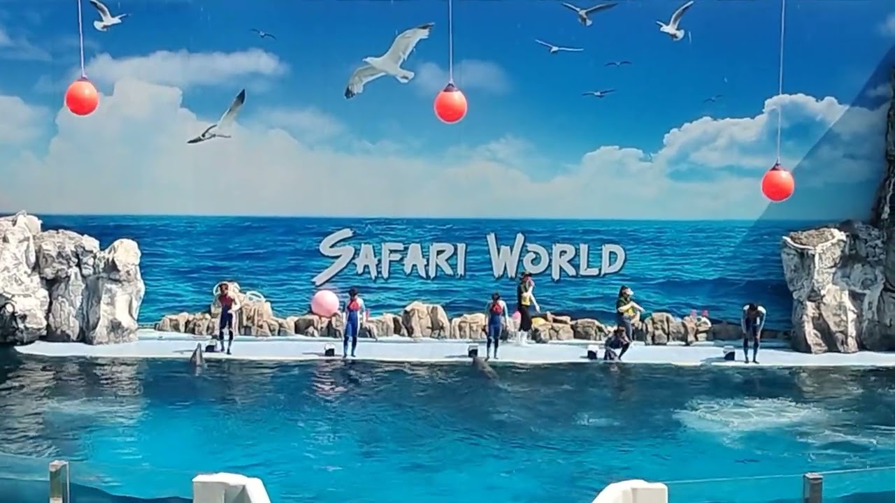 Bangkok dolphin 🐬 show 