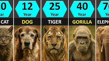 Animal Lifespans Compared: Shortest to Longest