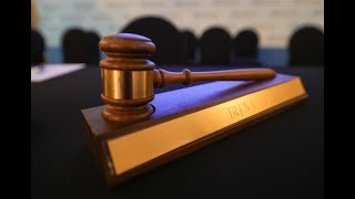28th Council: Opening session and the Annual Report of the Director-General