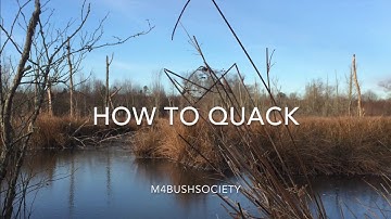 How to Blow a duck call (quack)