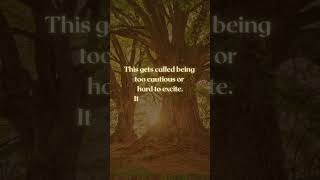 The Grounder Archetype, HSP Identity Explained
