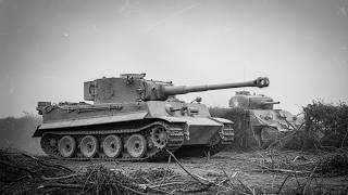 The Day a Sherman Crew Faced the Tiger — And Lived to Tell It