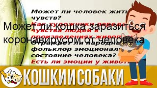 Топ-6 лучших беспроводных наушников marshall: рейтинг 2020 года, обзор характеристик и отзывы поку.