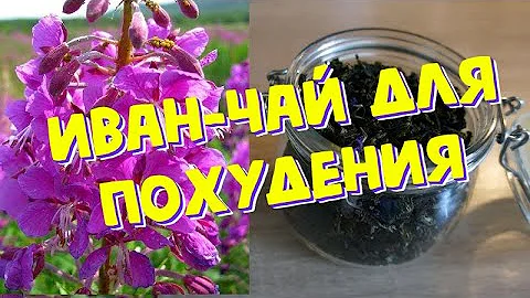 Иван-чай для похудения