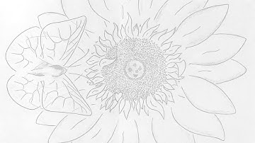 (english) - Presentation of all the books - 1