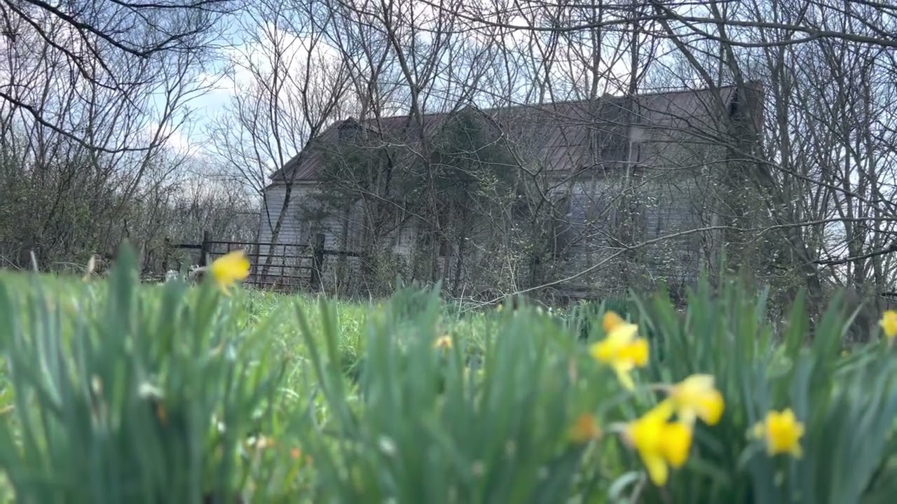 :30 of Urbex Zen - Spring