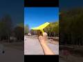 Amezing farthest flying paper Plane ✈️🤫💯