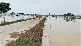 ratusan hektar sawah tergenang air di kecamatan jatitujuh, majalengka #indonesia