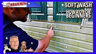 Clean a Slimy Mossy House! Have you Thought about getting into Soft Wash? screenshot 5
