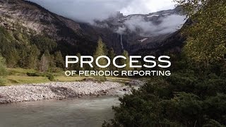 Process of Periodic Reporting