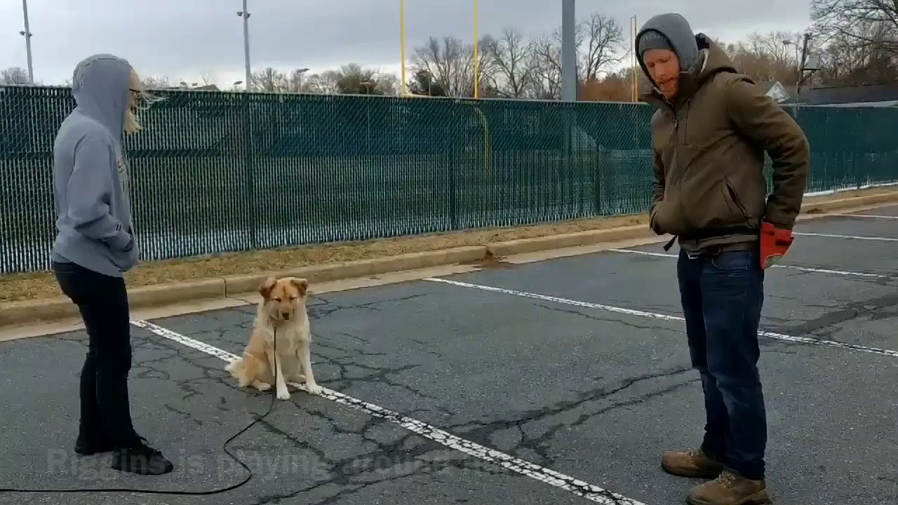 Bennet working with distractions - YouTube