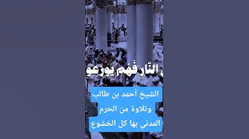 تلاوة خاشعة هادئة من الحرم المدني للشيخ أحمد بن طالب