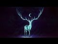 Chapter 1 of The Bright World of the Gods