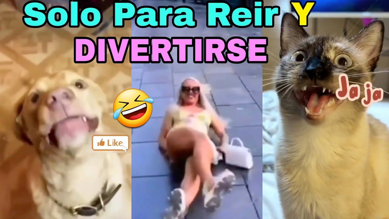 Si te Ries Pierdes Los Mejores Videos Graciosos 2023 Viral Para Reír y  Divertirse - YouTube