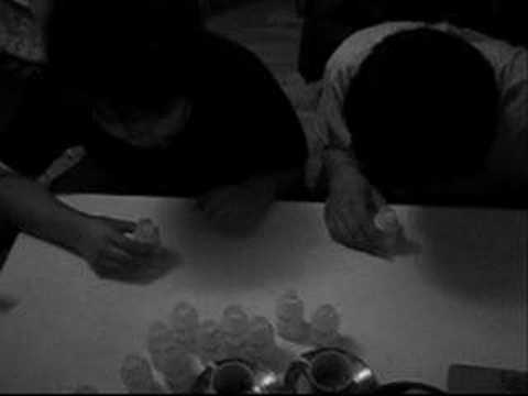 VitaSOY shots