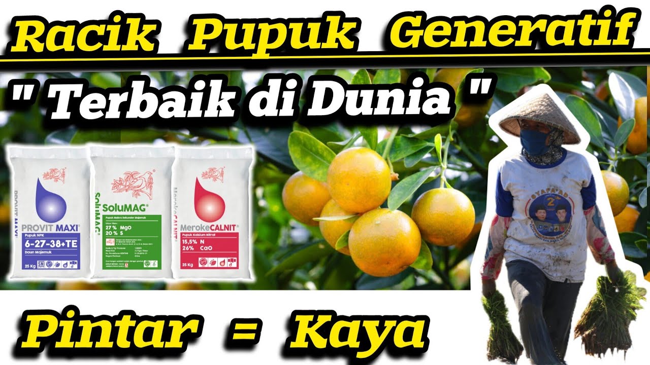 🔴 Racikan Jitu Pupuk Buah‼️ Pupuk Meroke Provit Maxi + Magnesium Sulfat + Pupuk Calnit Hasil Joss ✅