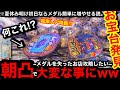 【放出期確定⁉︎】※何これ初めて見た…。衝撃の展開にww夏休み明け初日のゲーセンは内部上がってて簡単に増やせる説【メダルゲーム】