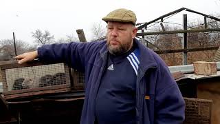 видео: Нутрии.  Годовой итог картинка: Нутрии.  Годовой итог