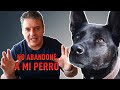 NO ABANDONÉ A MI PERRO