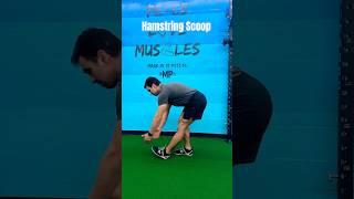 Hamstring Scoop