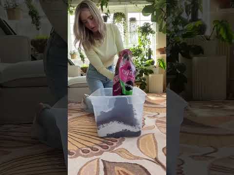 HIGH QUALITY Potting Soil Perlite Orchid Bark Mix Well Happy Growing Planttips Soil Diy