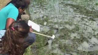 Mission: Planet DeTox