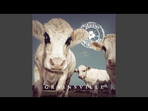 Faster Than Light - Steve ´n´ Seagulls