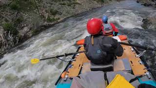 Upper Middle Fork Salmon :: June 2025
