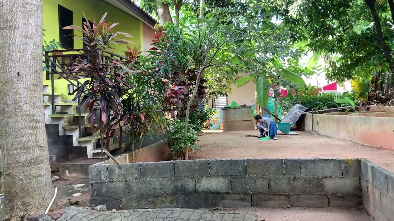 Granddad is cleaning up the place 89 years old like a young man Lamai Beach Road Koh Samui Thailand 