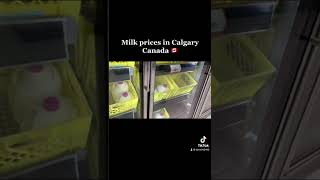 Milk Prices In Calgary Ajmal Mahmood