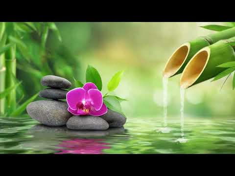 Bamboo Sleep Music 🌿 Calm Anxiety & Cure Insomnia | Deep Relaxation & Healing Sounds