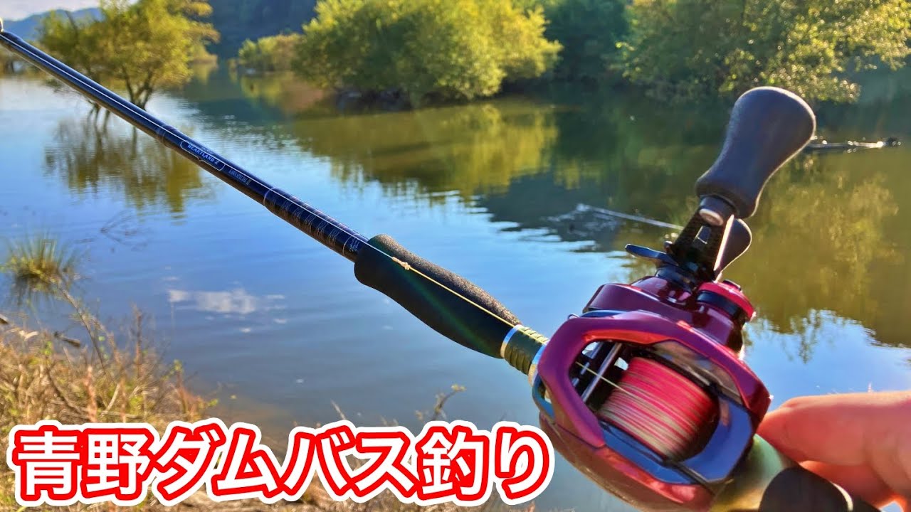 初めての青野ダムバス釣り。釣れそうなポイント巡り＆初のN-VAN車中泊で釣り旅