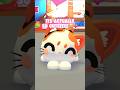 The NEW MOCHI MEOW is my favorite pet😭💗 #roblox #adoptme #update #relatable