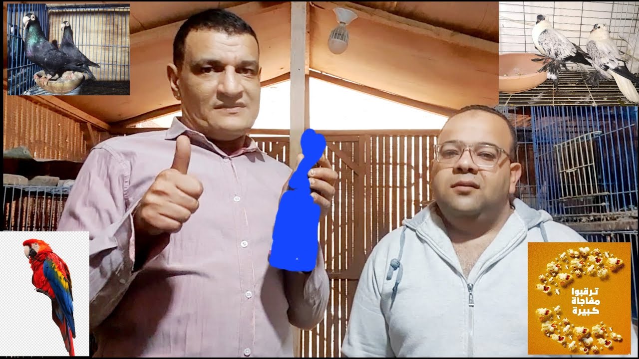 مع اقوي منتج للتخصيب والتبويض مافيش حصى بلي ولا فيه نتاية عزيزة البيض ولادكر هيروق ولا دكر كبير السن