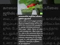 Healthy Juice in Morning | Immunity Boost Drink Tamil | Natural Health Tips